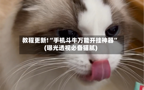 教程更新!“手机斗牛万能开挂神器”(曝光透视必备猫腻)-第3张图片