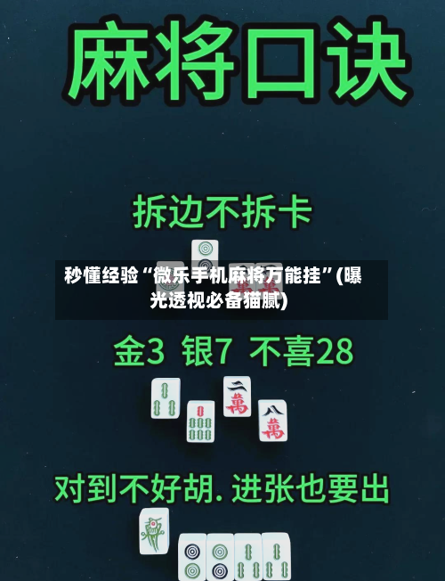 秒懂经验“微乐手机麻将万能挂”(曝光透视必备猫腻)-第2张图片