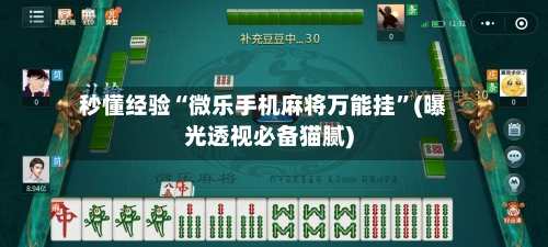 秒懂经验“微乐手机麻将万能挂”(曝光透视必备猫腻)