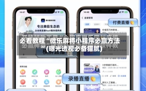 必看教程“微乐麻将小程序必赢方法”(曝光透视必备猫腻)-第3张图片