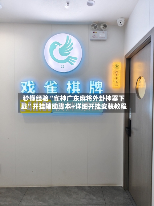 秒懂经验“雀神广东麻将外卦神器下载	”开挂辅助脚本+详细开挂安装教程-第3张图片