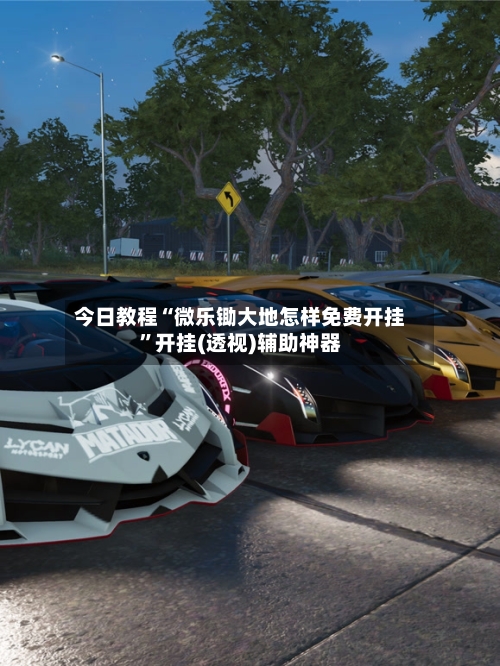 今日教程“微乐锄大地怎样免费开挂	”开挂(透视)辅助神器-第2张图片