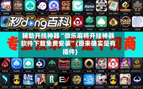 辅助开挂神器“微乐麻将开挂神器软件下载免费安装”(原来确实是有插件)-第3张图片