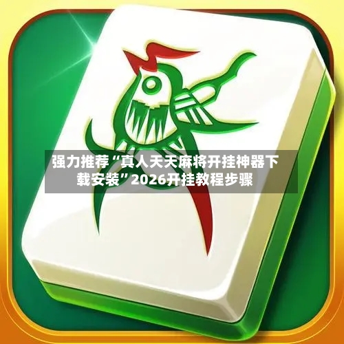 强力推荐“真人天天麻将开挂神器下载安装”2026开挂教程步骤-第2张图片