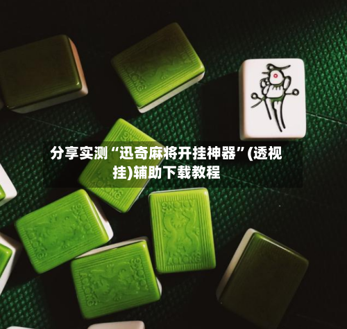 分享实测“迅奇麻将开挂神器”(透视挂)辅助下载教程-第2张图片