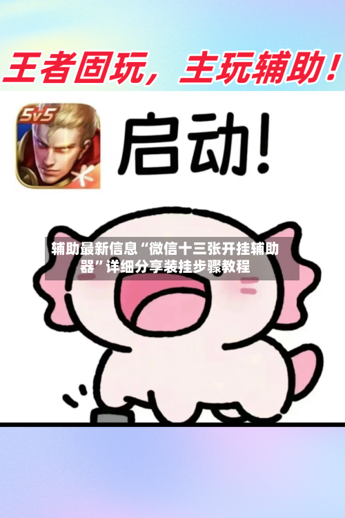 辅助最新信息“微信十三张开挂辅助器”详细分享装挂步骤教程-第2张图片