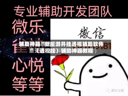 辅助神器“新星游开挂透视辅助软件”（透视挂）辅助神器教程