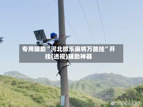 专用辅助“河北微乐麻将万能挂”开挂(透视)辅助神器-第2张图片