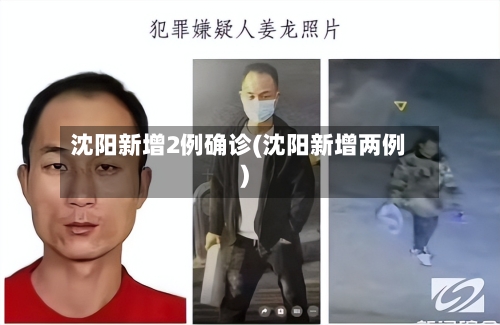 沈阳新增2例确诊(沈阳新增两例)-第2张图片