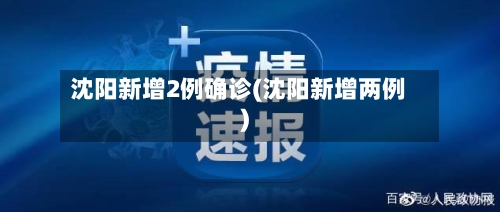 沈阳新增2例确诊(沈阳新增两例)