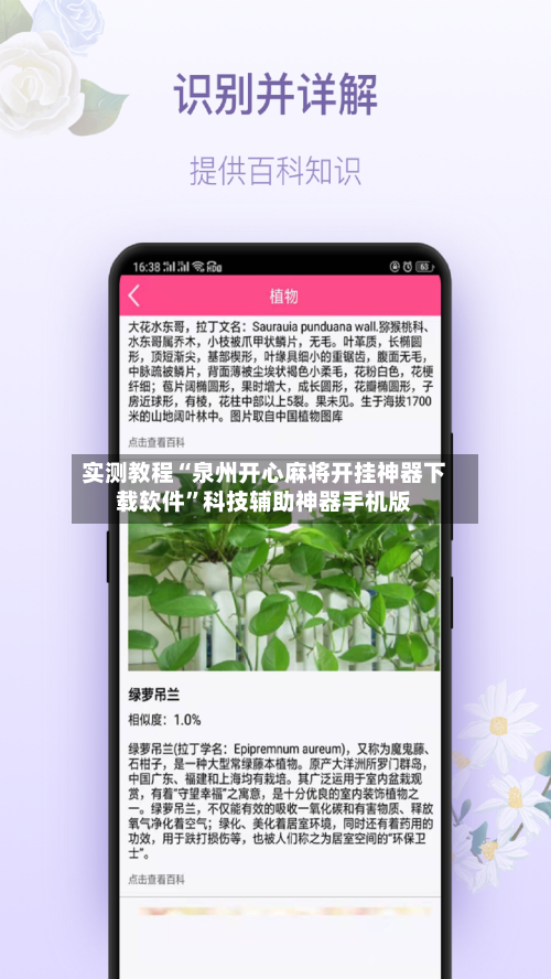 实测教程“泉州开心麻将开挂神器下载软件”科技辅助神器手机版-第2张图片