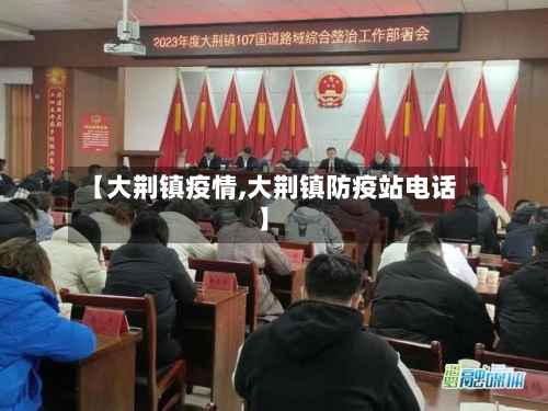 【大荆镇疫情,大荆镇防疫站电话】-第2张图片