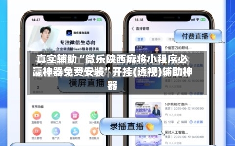 真实辅助“微乐陕西麻将小程序必赢神器免费安装	”开挂(透视)辅助神器-第3张图片