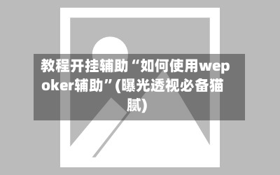 教程开挂辅助“如何使用wepoker辅助”(曝光透视必备猫腻)-第2张图片