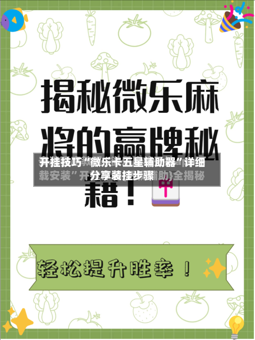 开挂技巧“微乐卡五星辅助器”详细分享装挂步骤-第3张图片