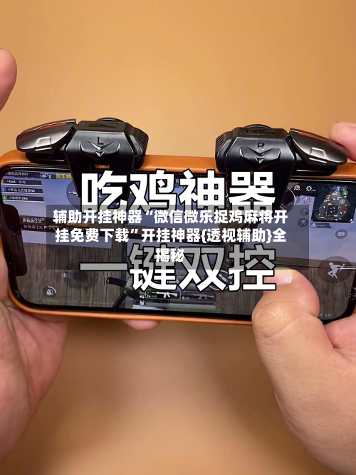 辅助开挂神器“微信微乐捉鸡麻将开挂免费下载”开挂神器{透视辅助}全揭秘-第2张图片