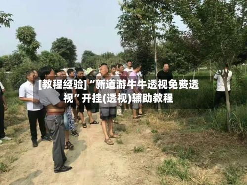 [教程经验]“新道游牛牛透视免费透视”开挂(透视)辅助教程-第2张图片