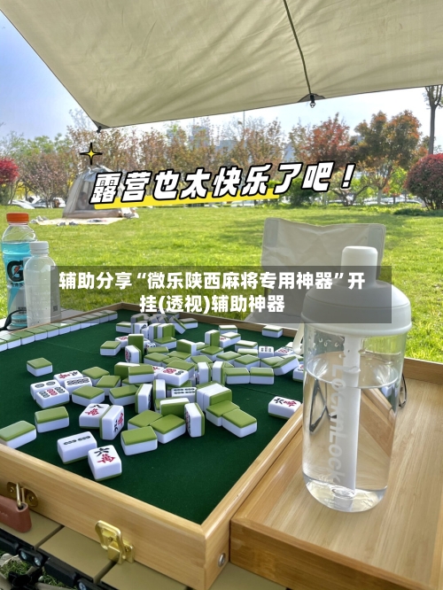 辅助分享“微乐陕西麻将专用神器”开挂(透视)辅助神器-第3张图片