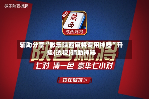 辅助分享“微乐陕西麻将专用神器	”开挂(透视)辅助神器-第2张图片