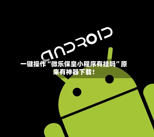 一键操作“微乐保皇小程序有挂吗”原来有神器下载！-第2张图片