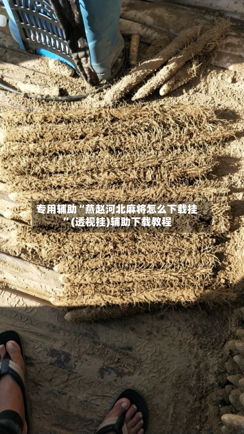 专用辅助“燕赵河北麻将怎么下载挂”(透视挂)辅助下载教程-第2张图片