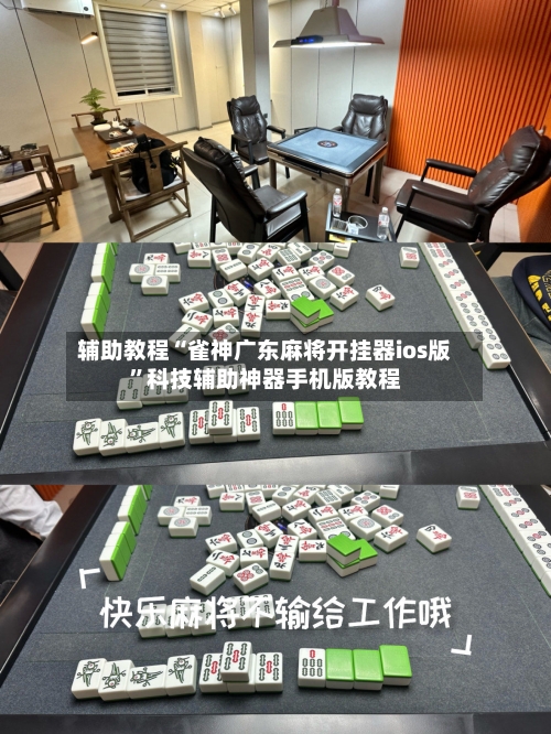辅助教程“雀神广东麻将开挂器ios版”科技辅助神器手机版教程-第2张图片