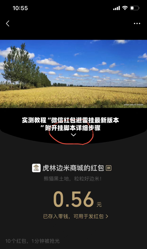 实测教程“微信红包避雷挂最新版本”附开挂脚本详细步骤