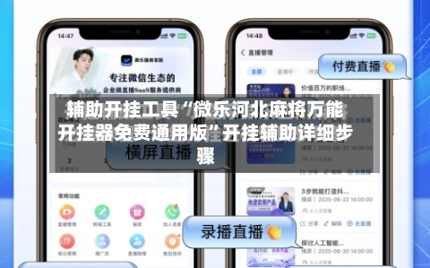 辅助开挂工具“微乐河北麻将万能开挂器免费通用版”开挂辅助详细步骤-第3张图片