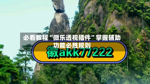 必看教程“微乐透视插件”掌握辅助功能必胜规则-第2张图片