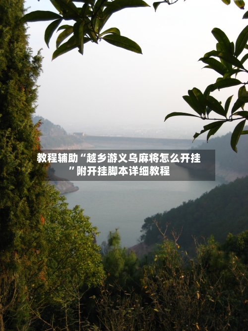 教程辅助“越乡游义乌麻将怎么开挂”附开挂脚本详细教程-第3张图片