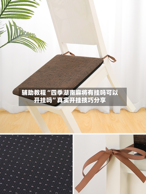 辅助教程“四季湖南麻将有挂吗可以开挂吗”真实开挂技巧分享-第2张图片