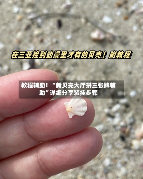 教程辅助！“新贝壳大厅拼三张牌辅助”详细分享装挂步骤-第3张图片