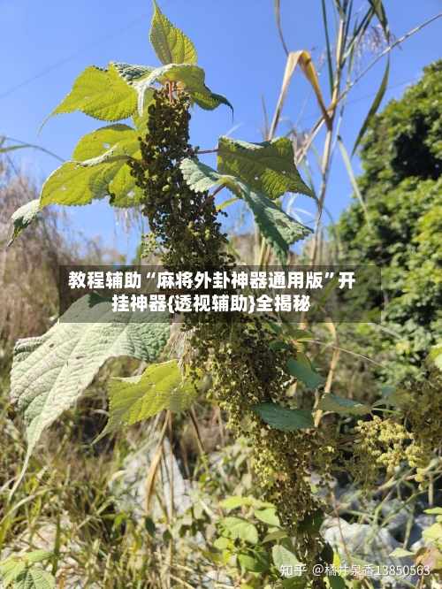 教程辅助“麻将外卦神器通用版”开挂神器{透视辅助}全揭秘-第2张图片