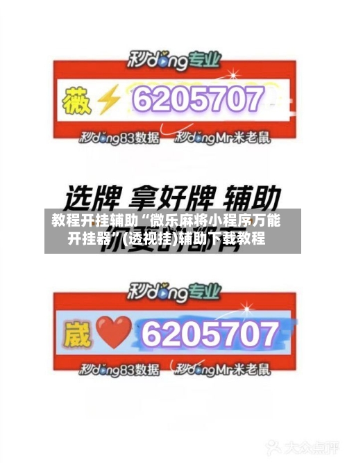 教程开挂辅助“微乐麻将小程序万能开挂器”(透视挂)辅助下载教程-第2张图片