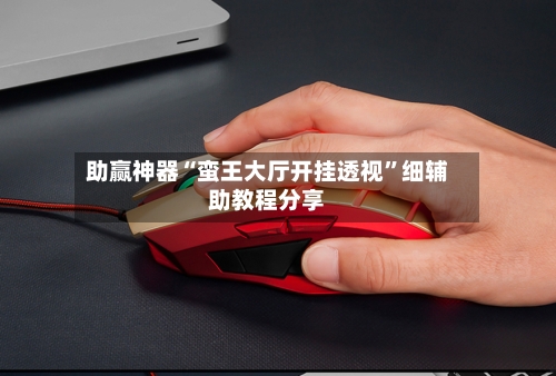 助赢神器“蛮王大厅开挂透视”细辅助教程分享-第2张图片