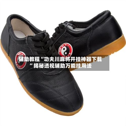 辅助教程“功夫川麻将开挂神器下载”揭秘透视辅助万能挂用法-第3张图片