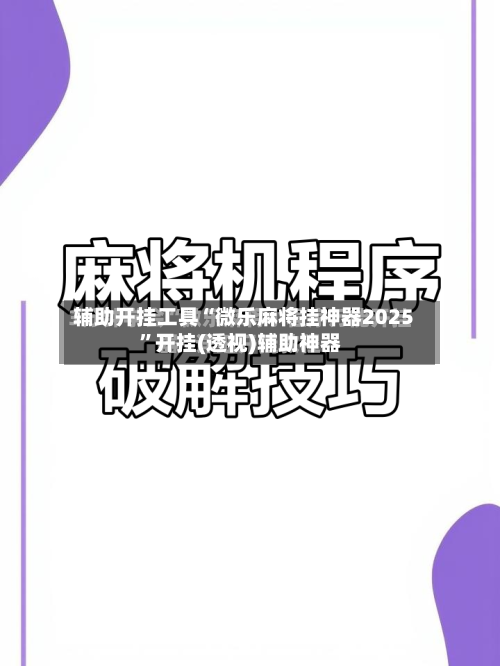 辅助开挂工具“微乐麻将挂神器2025	”开挂(透视)辅助神器-第2张图片