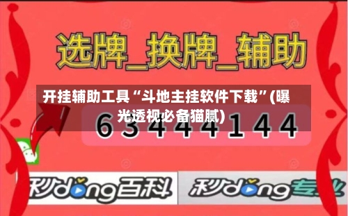 开挂辅助工具“斗地主挂软件下载	”(曝光透视必备猫腻)-第2张图片