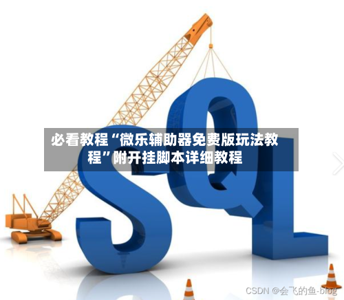 必看教程“微乐辅助器免费版玩法教程”附开挂脚本详细教程