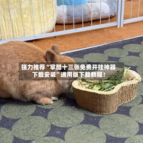 强力推荐“掌酷十三张免费开挂神器下载安装”通用版下载教程！-第3张图片