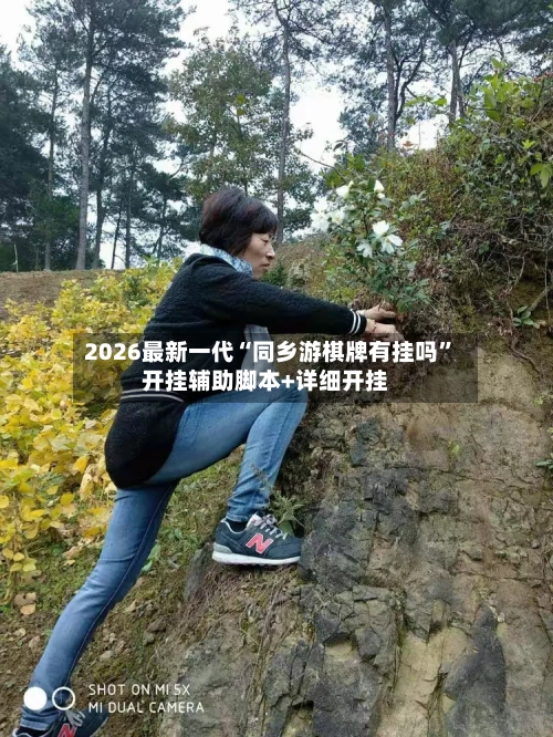 2026最新一代“同乡游棋牌有挂吗	”开挂辅助脚本+详细开挂-第2张图片