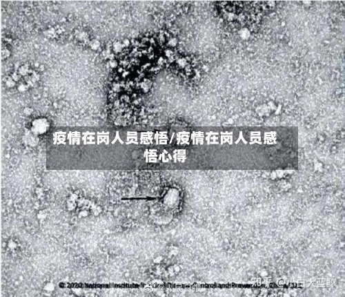 疫情在岗人员感悟/疫情在岗人员感悟心得