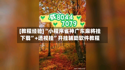 [教程经验]“小程序雀神广东麻将挂下载	”+透视挂”开挂辅助软件教程-第2张图片