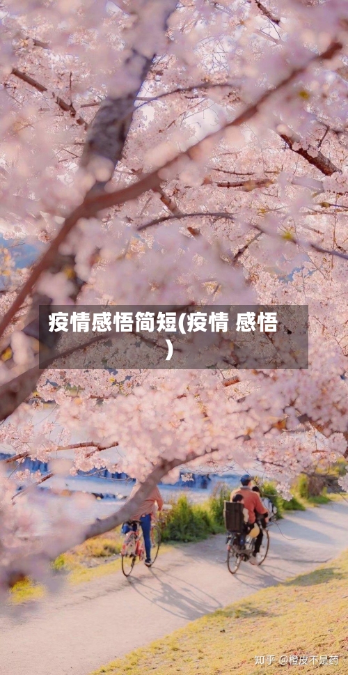 疫情感悟简短(疫情 感悟)