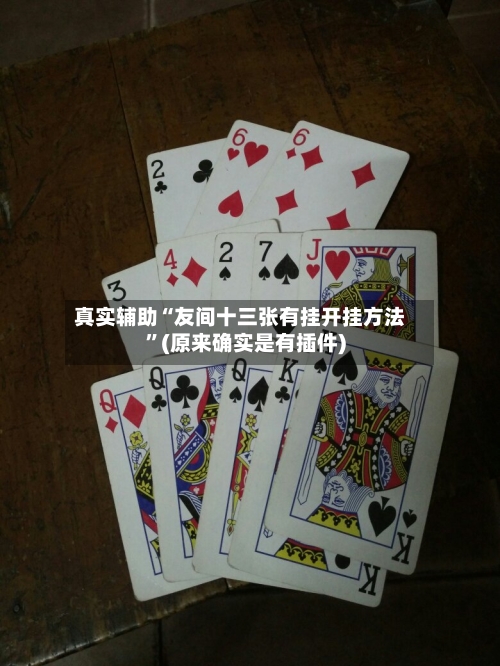 真实辅助“友间十三张有挂开挂方法	”(原来确实是有插件)-第2张图片