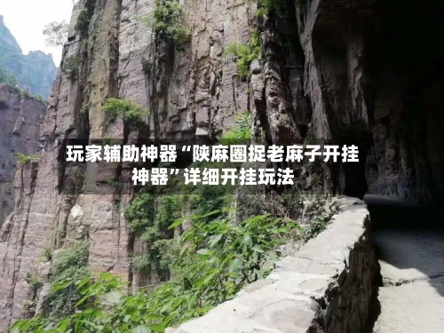 玩家辅助神器“陕麻圈捉老麻子开挂神器”详细开挂玩法