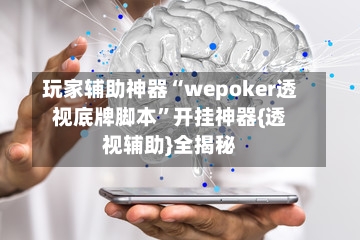 玩家辅助神器“wepoker透视底牌脚本”开挂神器{透视辅助}全揭秘-第3张图片