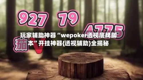 玩家辅助神器“wepoker透视底牌脚本”开挂神器{透视辅助}全揭秘-第2张图片