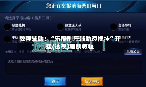 教程辅助！“乐酷副厅辅助透视挂”开挂(透视)辅助教程-第3张图片