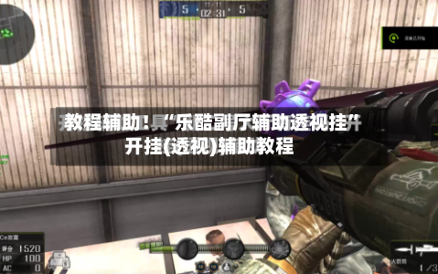 教程辅助！“乐酷副厅辅助透视挂	”开挂(透视)辅助教程-第2张图片